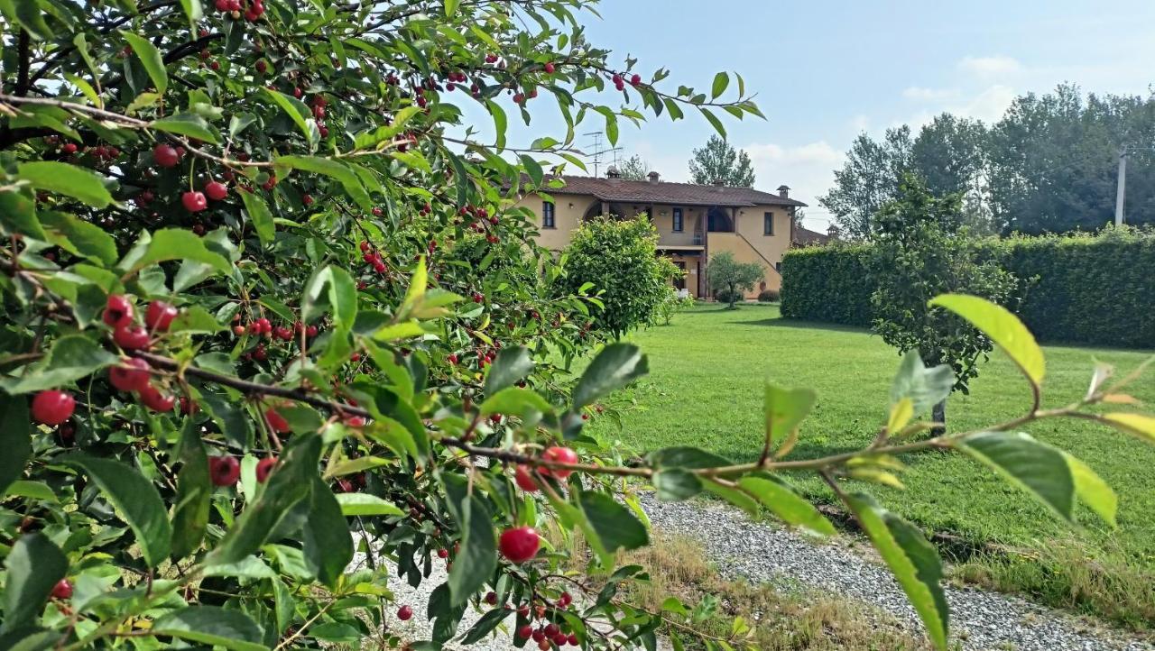 קאסקינה Il Chiassetto Agriturismo No Kids מראה חיצוני תמונה