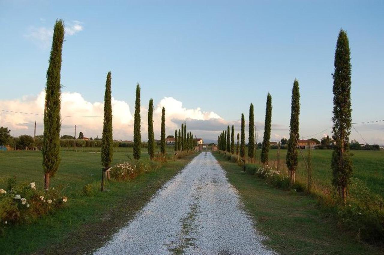 הוילה קאסקינה Il Chiassetto Agriturismo No Kids מראה חיצוני תמונה